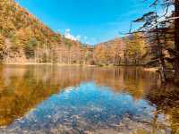 Mùa thu Kamikochi,nagano,japan