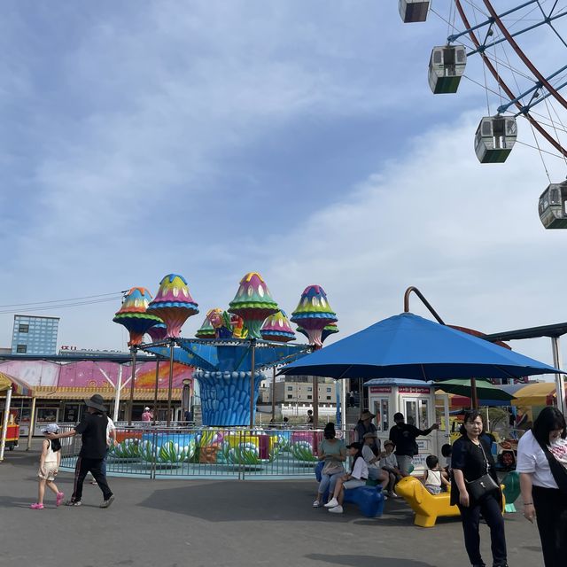 낭만적인 당진 삽교호 놀이동산 