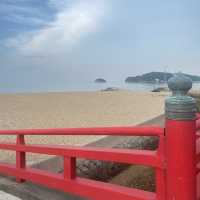 香川県の隠れた絶景スポット【津田の松原🌊🌲】