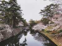 รีวิวเที่ยวเมืองโอคะซะกิ (Okazaki) 3 ฤดู