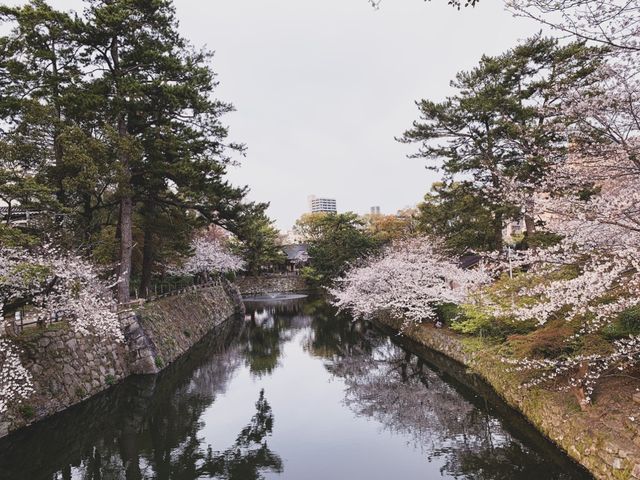 รีวิวเที่ยวเมืองโอคะซะกิ (Okazaki) 3 ฤดู
