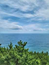 영덕 블루로드 따라 해맞이공원까지🩵