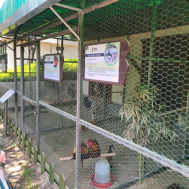 진주 진양호 동물원