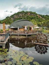 คาเฟ่ดีไซน์น้องเต่าที่หัวหิน 🐢 Turtle Bay Hua Hin