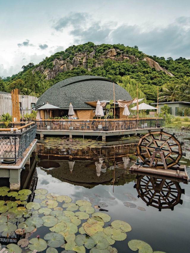 คาเฟ่ดีไซน์น้องเต่าที่หัวหิน 🐢 Turtle Bay Hua Hin