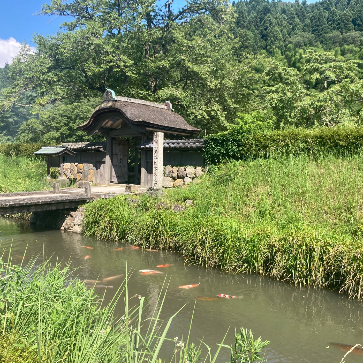 【一乗谷朝倉氏遺跡】