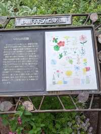 【北海道の大きな公園】キャンプも出来る滝野すずらん丘陵公園
