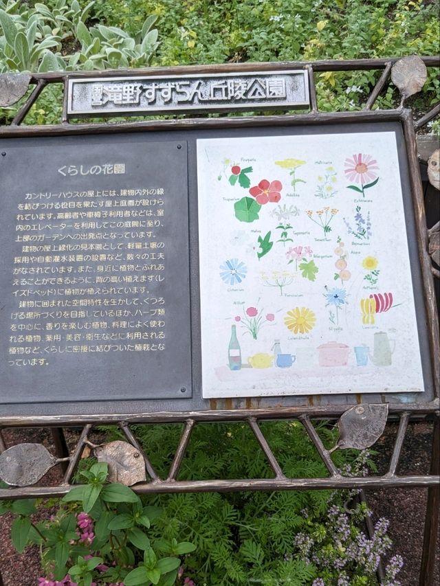 【北海道の大きな公園】キャンプも出来る滝野すずらん丘陵公園