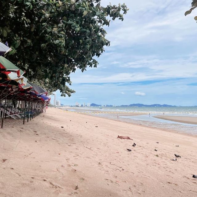 หาดจอมเทียน ชลบุรี🏖️🏖️