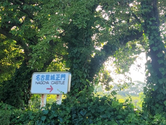 나성에 가면 편지를 띄우세요.. LA가 아닌 나고야성!