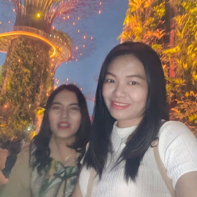 Supertree Grove ต้นไม้ยักษ์สิงคโปร์