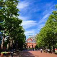 🏰이국적인 풍경과 여유로운 🌳삿포로에 위치한 홋카이도청😌