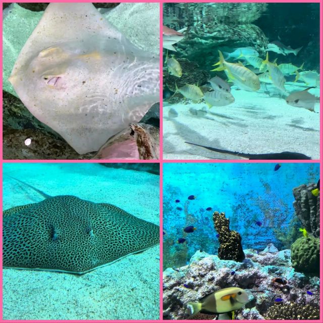 首爾商場內水族館