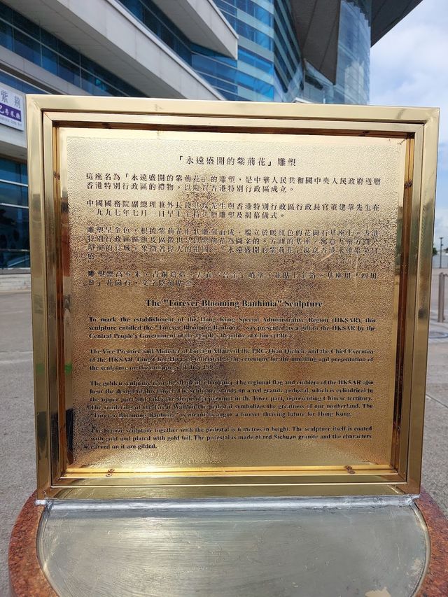 Golden Bauhinia Square 🌷✨ Golden Bauhinia Square 🌷✨