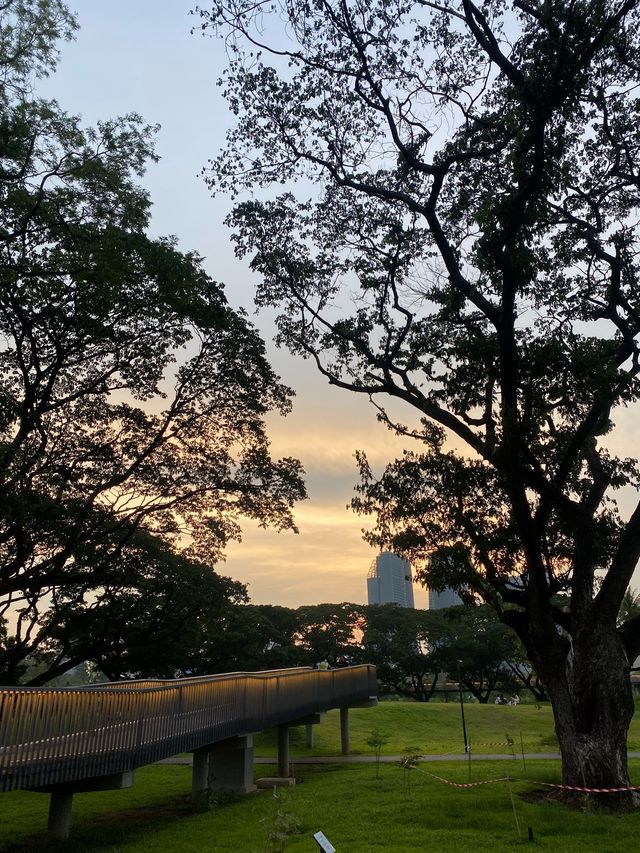 ถ่ายรูปสวนที่สวนเบญจกิติ 