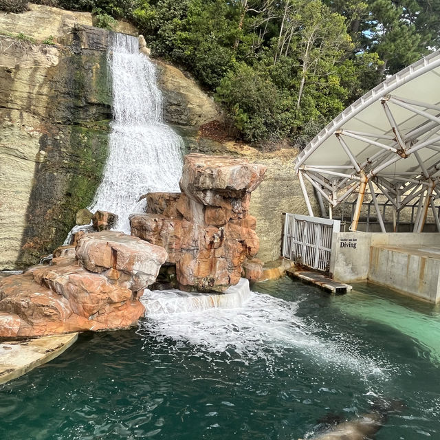 【兵庫】絶景すぎる水族館！城崎マリンワールド