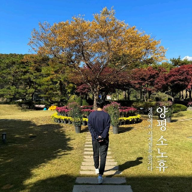 양평 소노휴에서 가든 바베큐 파티로 힐링!