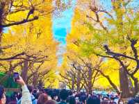 Autumn In Tokyo