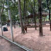 ทัณฑสถานหญิงพิษณุโลก ร้านเฟื่องฟ้า
