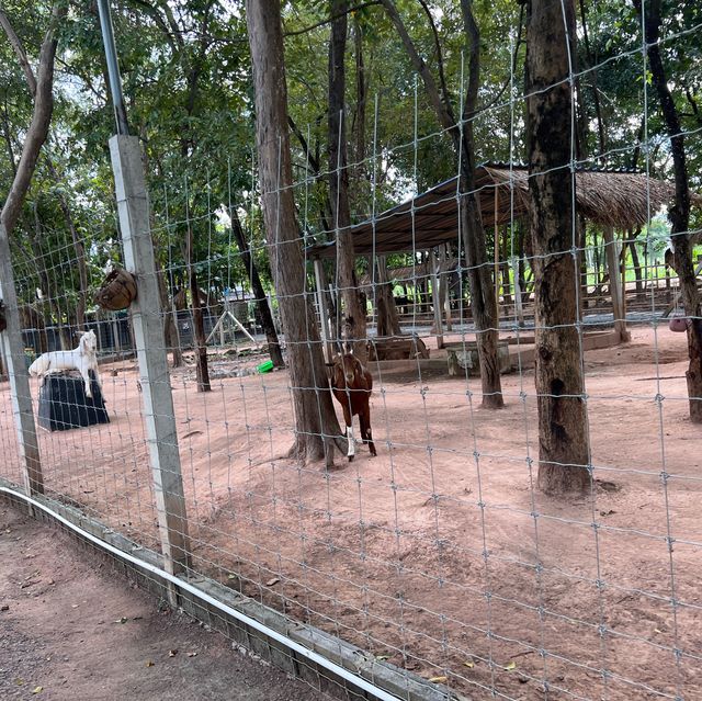 ทัณฑสถานหญิงพิษณุโลก ร้านเฟื่องฟ้า