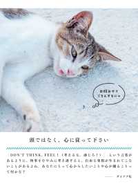 【香川】猫の島🏝️可愛い猫ちゃんと名言に癒される✨