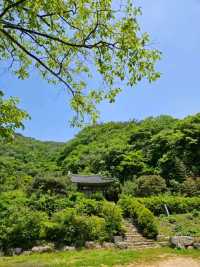 멋진 풍경의 보성 대원사에서 힐링🌳🌳