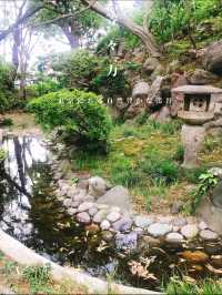 都内にある隠された秘境🫧緑豊かな渓谷🌿🕊‎【等々力】