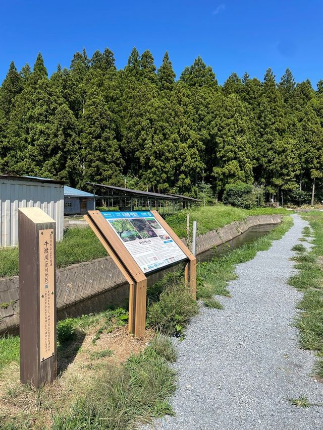 【山形県/丸池神社】2023年行ってよかった！山形県の神社③