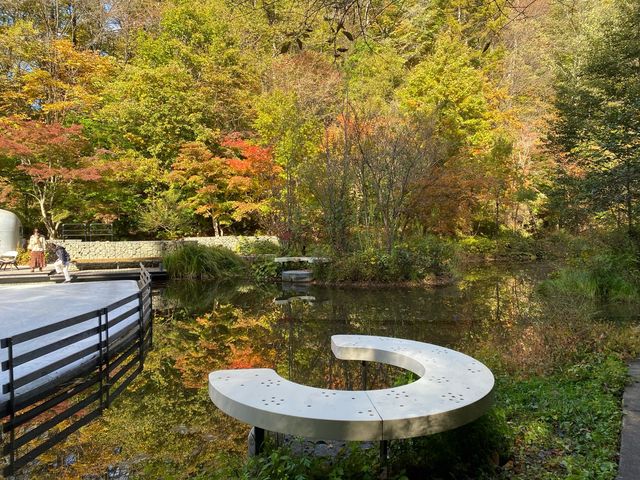 賞楓秘景@星野溜冰場