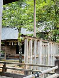 【島根県/須佐神社】2023年行ってよかった！島根県の神社⑨