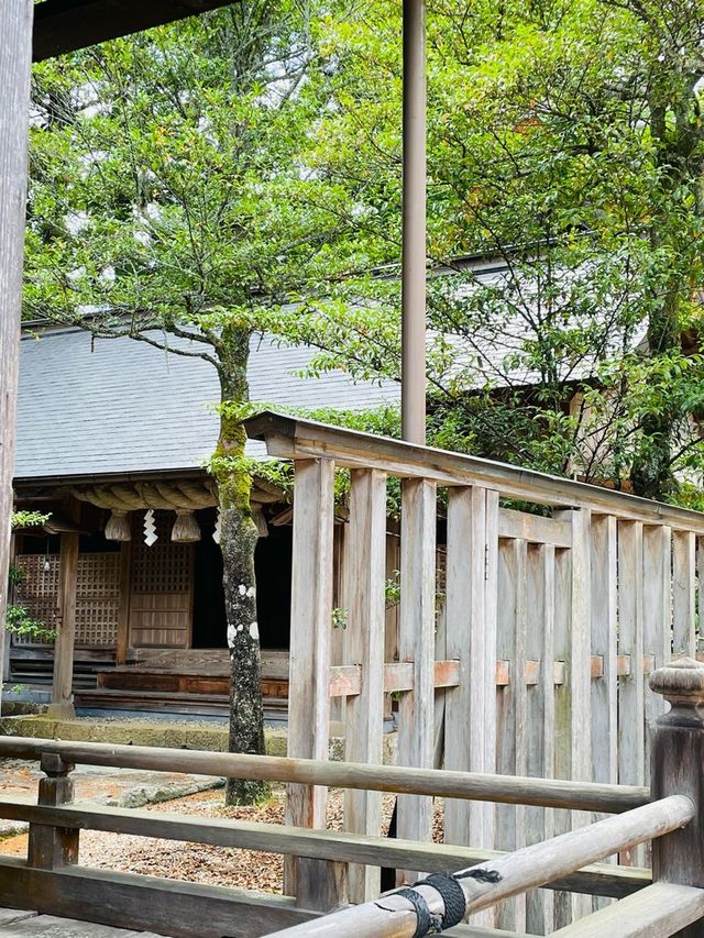 【島根県/須佐神社】2023年行ってよかった！島根県の神社⑨