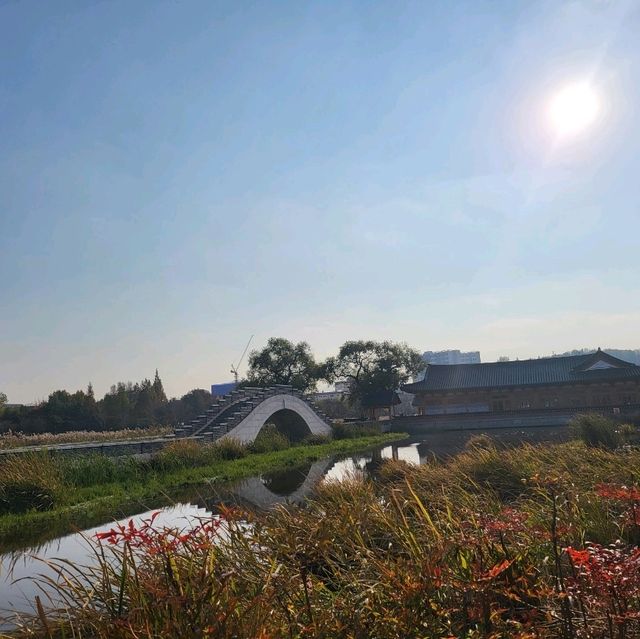 애견동반 가능한 전주 공원 : 전주 덕진공원 🌳