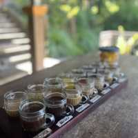 Luwak Coffee Plantation in Bali | Tampaksiring