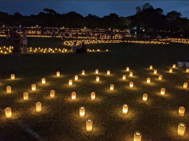 เทศกาลเทียนไขนาราโทคาเอะ Nara Tokae Festival