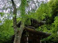 【吉野（②如意輪寺と南朝の盛衰）】（奈良県吉野町　旧国名：大和）
