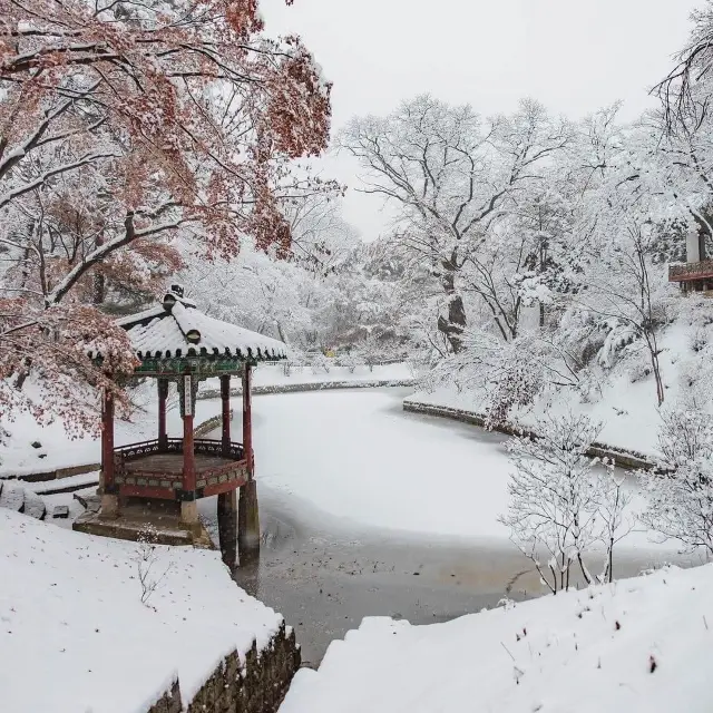 The Beauty of Changdeokgung palace in winter 