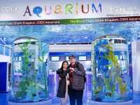 COEX Aquarium 🪸