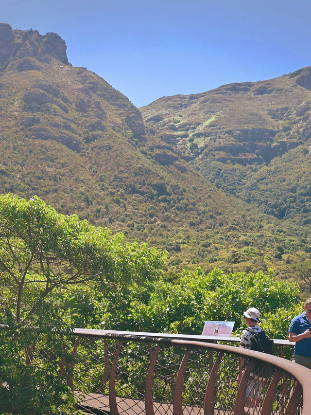 Kirstenbosch National Botanical ปลูกได้ที่เดียว