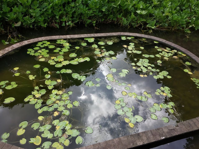 The Tsukuba Botanical Garden 