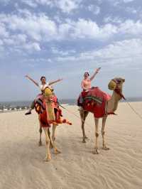 Seeline desert Mesaieed Adventure