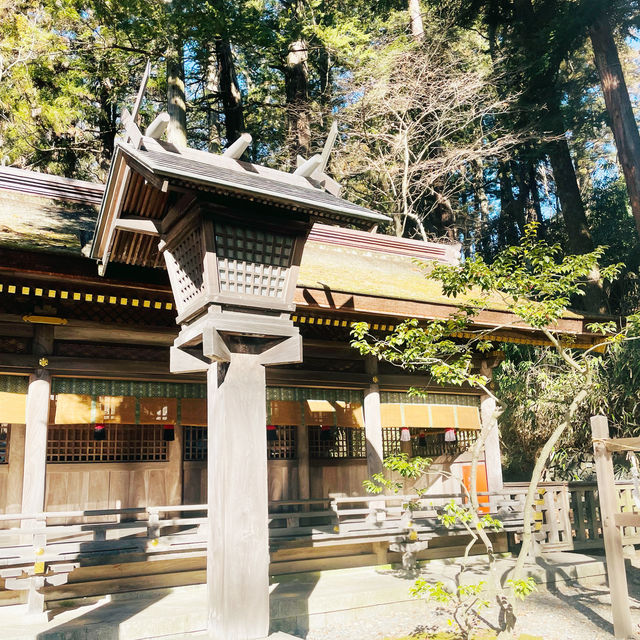 【長野県/下諏訪　全国に2.5万社ある諏訪神社の総本社『諏訪大社』の１つ⛩️】