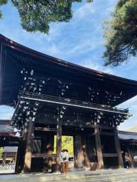 【東京都】一度は参拝してほしい日本一の初詣参拝者数を誇る明治神宮