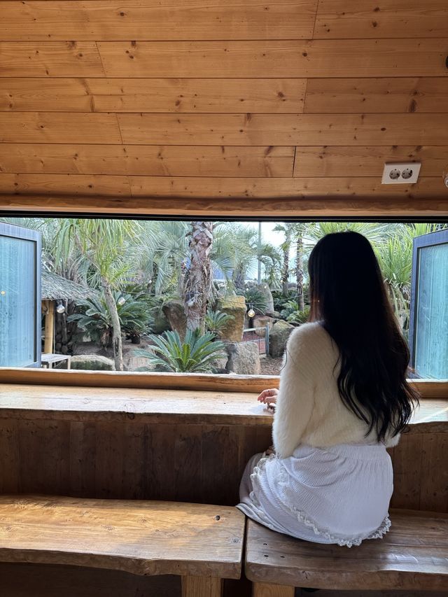 🍊이색체험 카페 어린왕자 감귤밭 귀여운 동물이 한가득해요 🍊