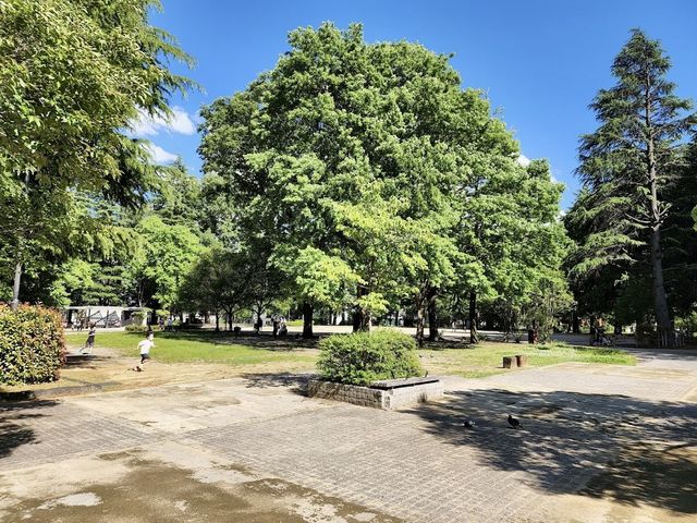 Nishikicho Park