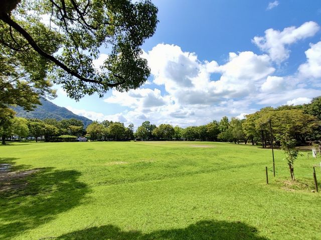 Nagara Park