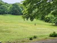 Utsunomiya Cultural Forest