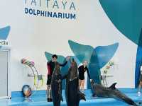 Dolphinarium Pattaya 