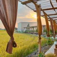 คาเฟ่ปทุมธานีเปิดใหม่  🍃🌾  