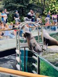 Central Park zoo