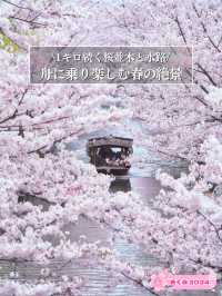 【京都×桜】江戸の文化で感じる桜の絶景🌸※撮影ポイント付き